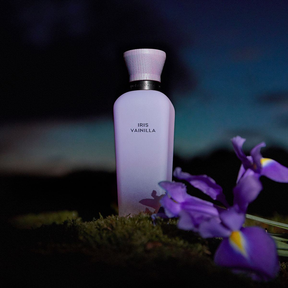 Melhores perfumes para presente de Dia dos Namorados